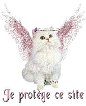 Chat protecteur