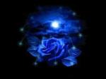 Bienvenue chez Nightshade