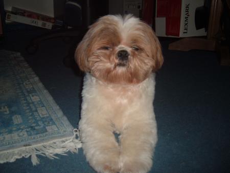 Mon sphinx