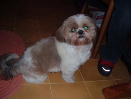 Mon derzo